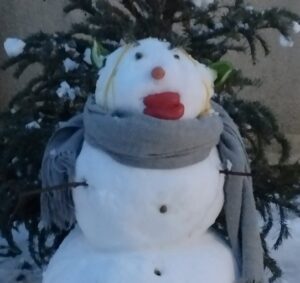 Lire la suite à propos de l’article Bonhommes de neige